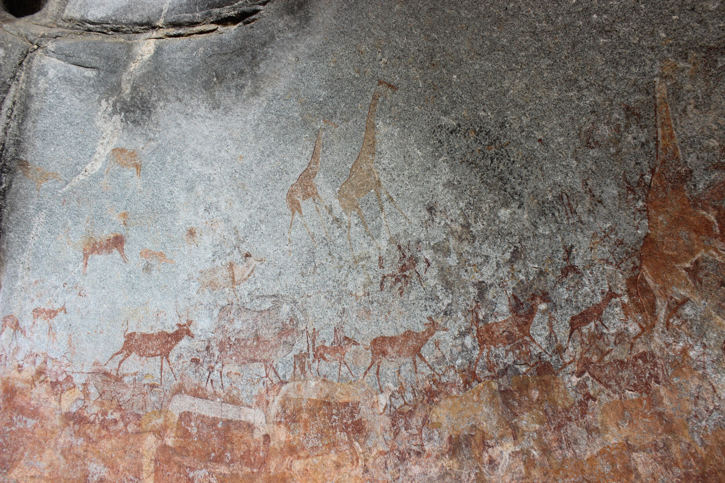 Bushman rock paintings
