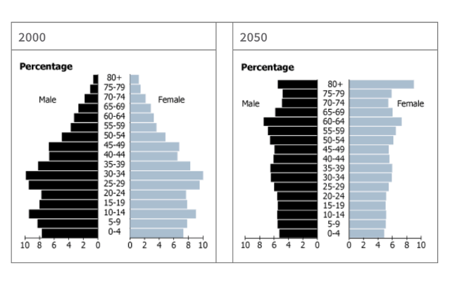 Population Pyramids comparing China in 2000 and 2050 Source: CIA