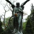 My Via Dolorosa: Part II